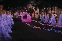 Rhema Christmas Light Tour
